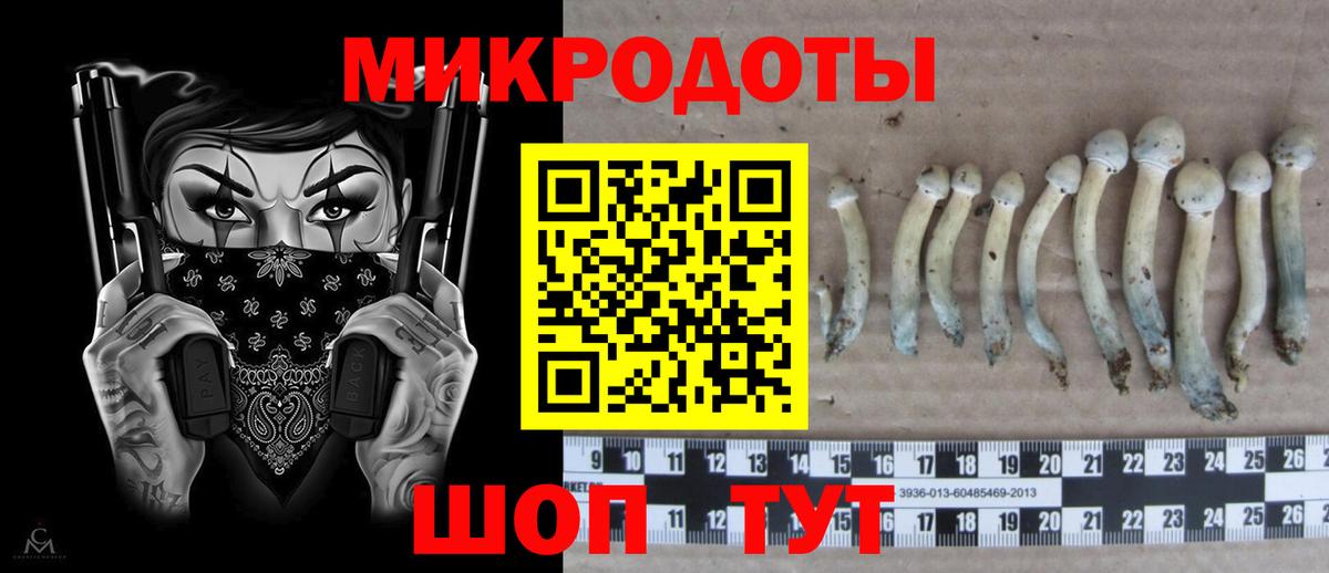 Галлюциногенные грибы мицелий  Вход с VPN  хочу   Урюпинск 