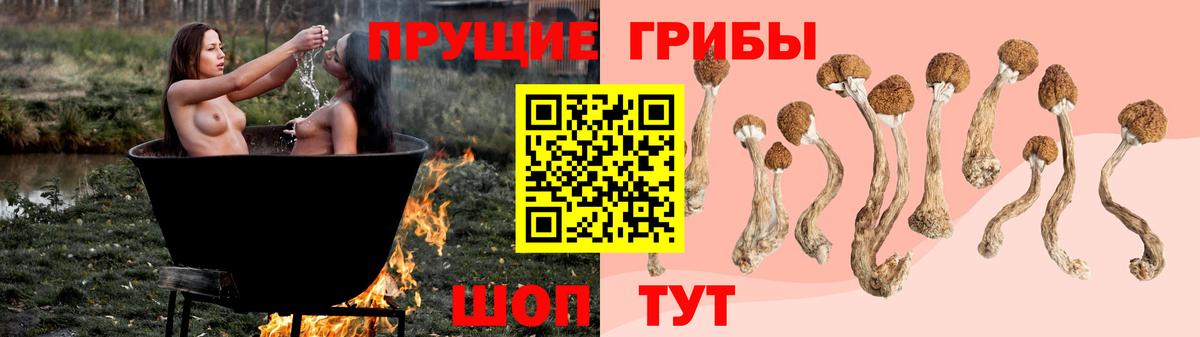 Галлюциногенные грибы Magic Shrooms Урюпинск